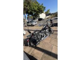 HARLEY-DAVIDSON - HERITAGE SOFTAIL - 2005/2005 - Prata - R$ 55.950,00